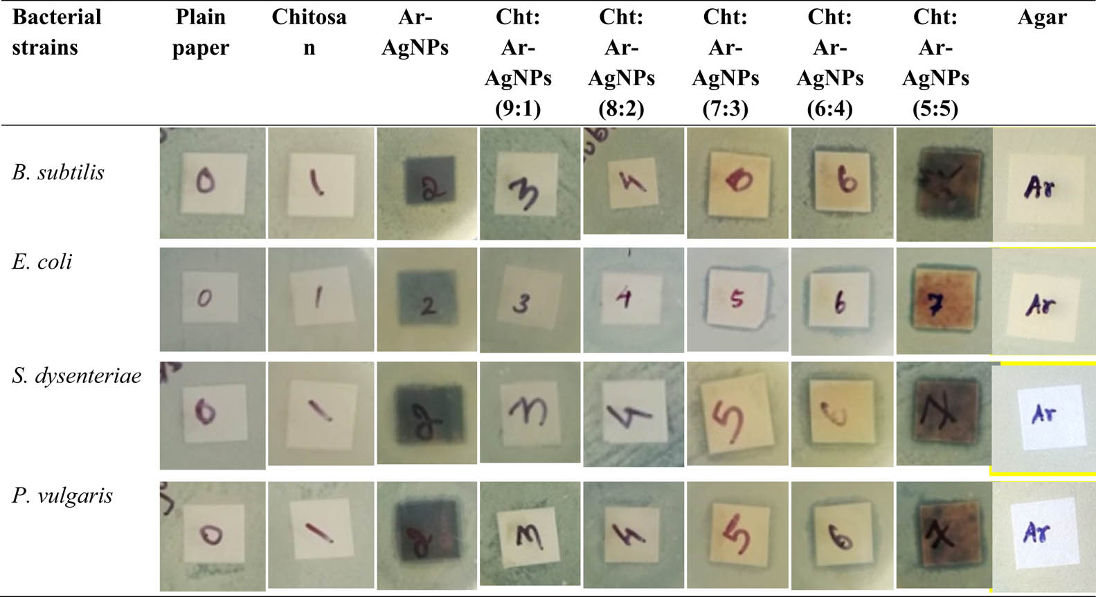 Figure 7 Antibacterial activity of plain paper, chitosan, agar, Ar-AgNPs-coated paper, and coated papers with different ratios of chitosan and Ar-AgNPs.