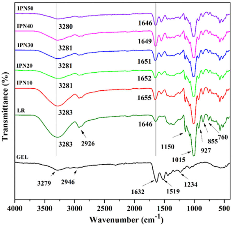 Figure 1 
                  FTIR spectroscopy of GEL powder, LR, and IPN films.
               