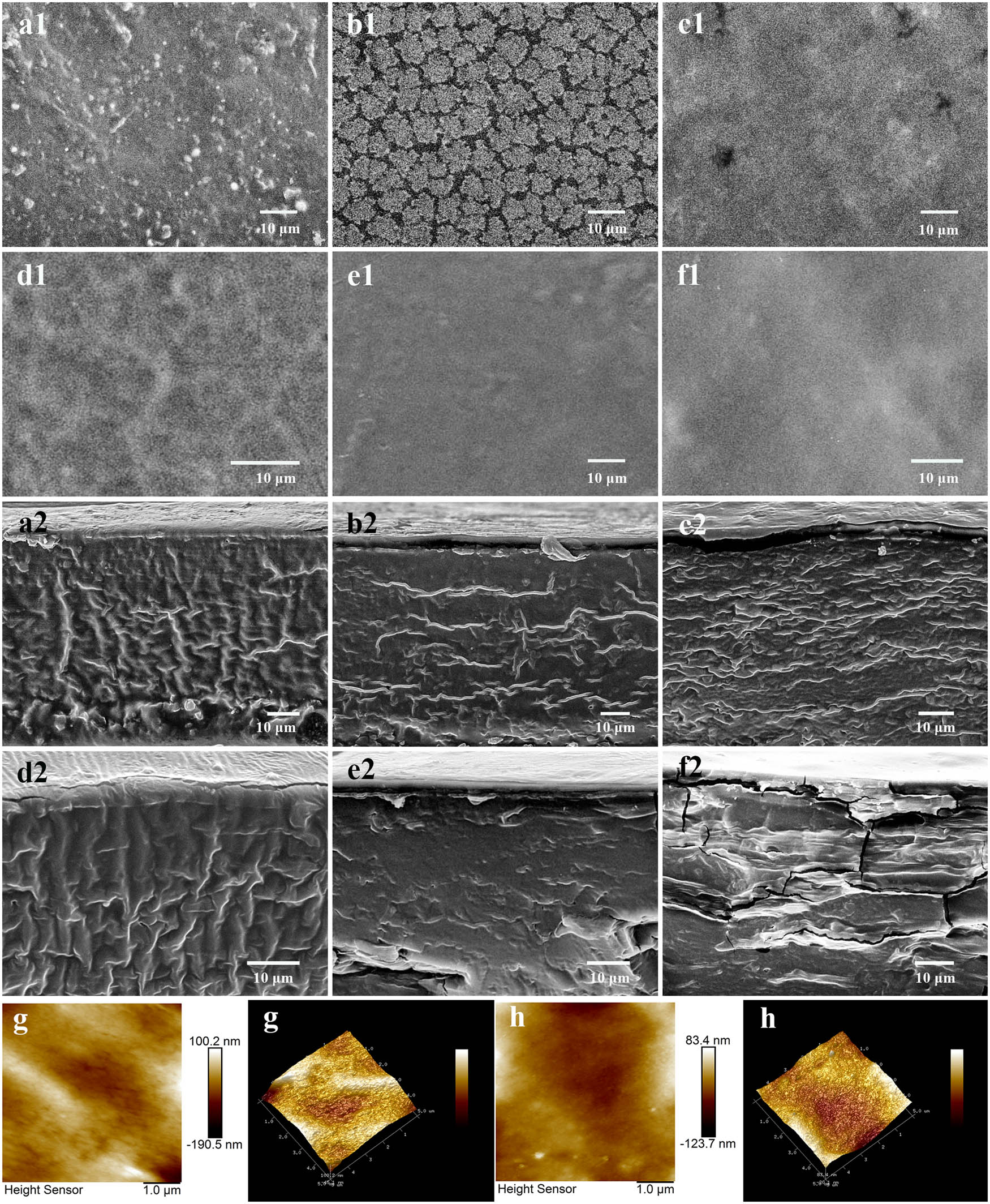 Figure 3 
                  SEM and AFM images of LR and IPN films: surface of LR (a1), IPN10 (b1), IPN20 (c1), IPN30 (d1), IPN40 (e1), and IPN50 (f1) films at 1,000× magnification; cross-section of LR (a2), IPN10 (b2), IPN20 (c2), IPN30 (d2), IPN40 (e2), and IPN50 (f2) films at 1,000× magnification. AFM image (plane and 3D) of LR (g) and IPN30 (h) films.
               