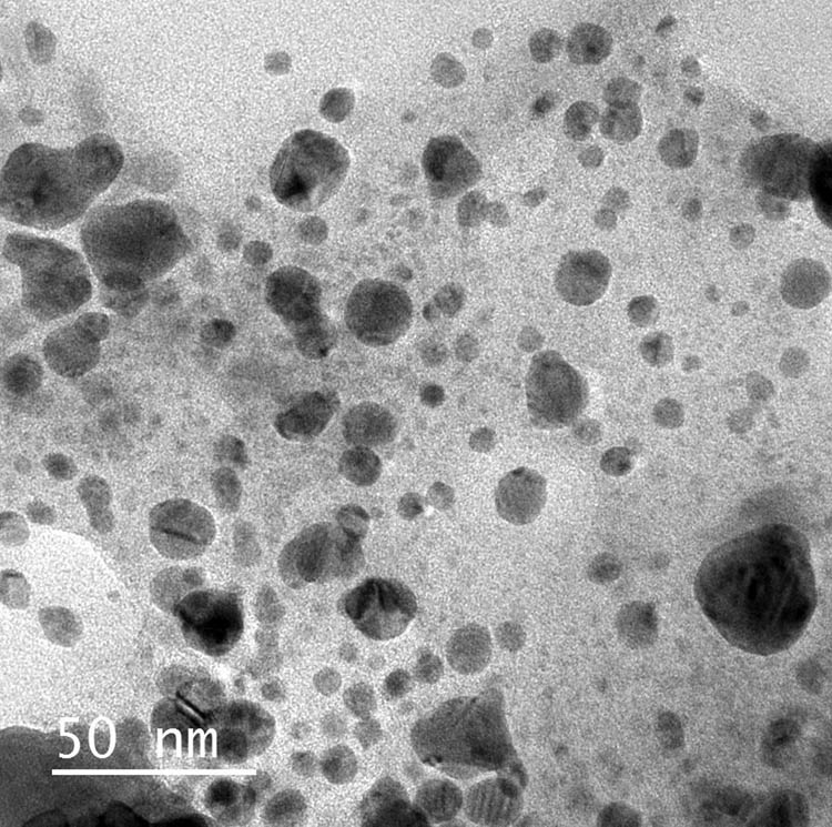 Figure 4 
                     TEM micrographs of phycosynthesized SpSeNPs.
                  