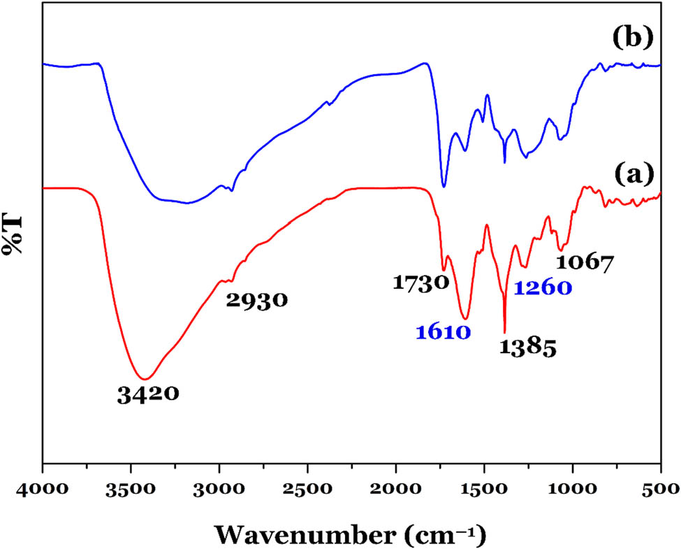 Figure 2 
                  FTIR spectra of (a) C. hindsii extract and (b) Au-NPs-3.75%.
               