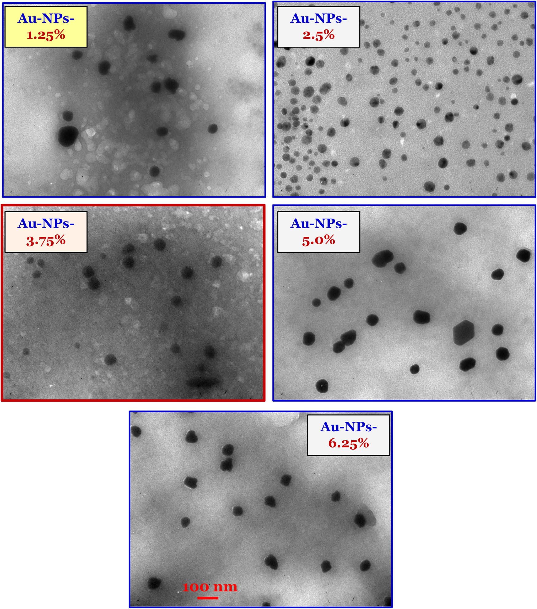 Figure A2 
            TEM images of Au-NPs prepared at different ratios of the extract used.
         