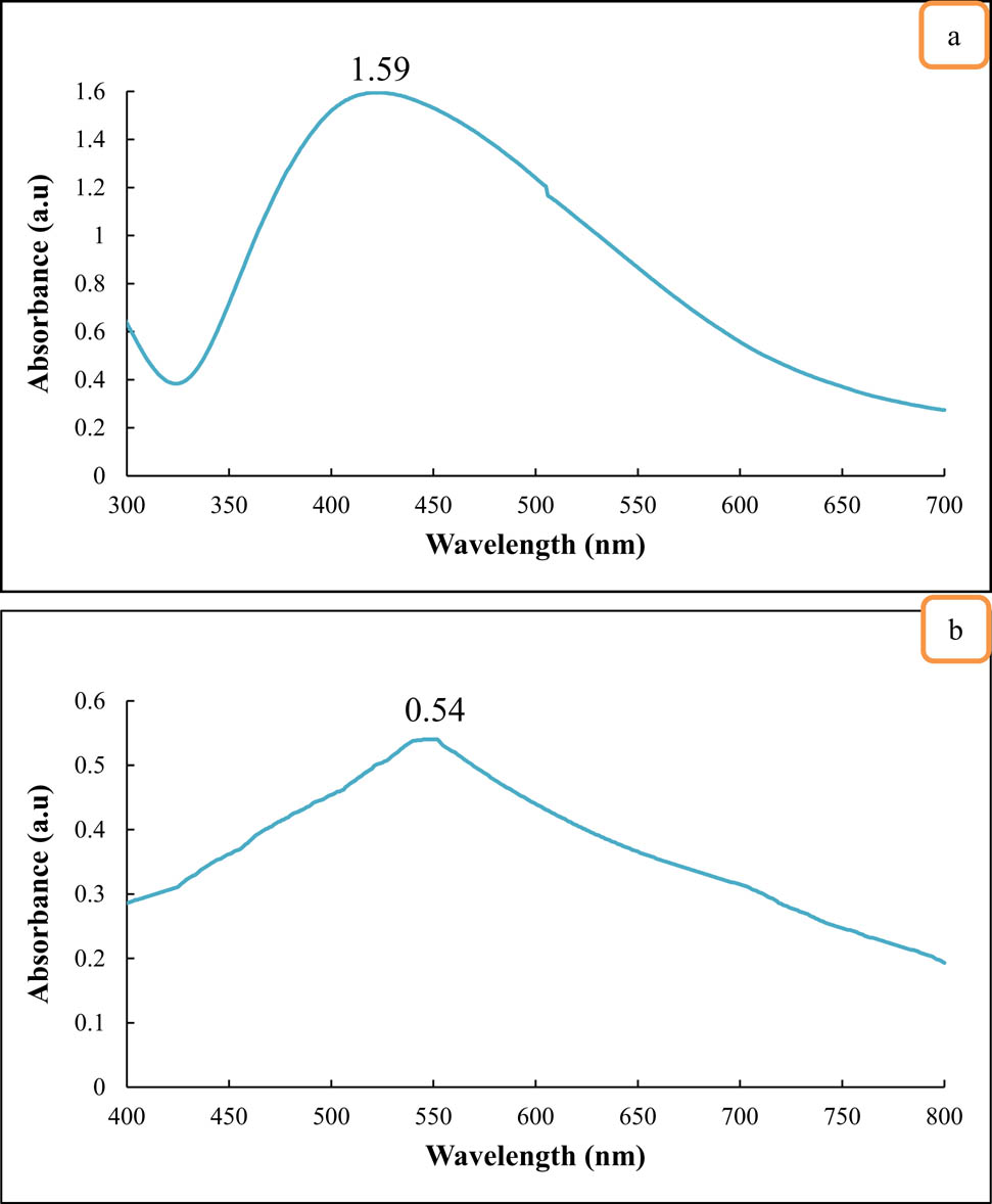 Figure 2 
                  UV-Visible spectra of: (a) Ag NPs, (b) Cu NPs.
               