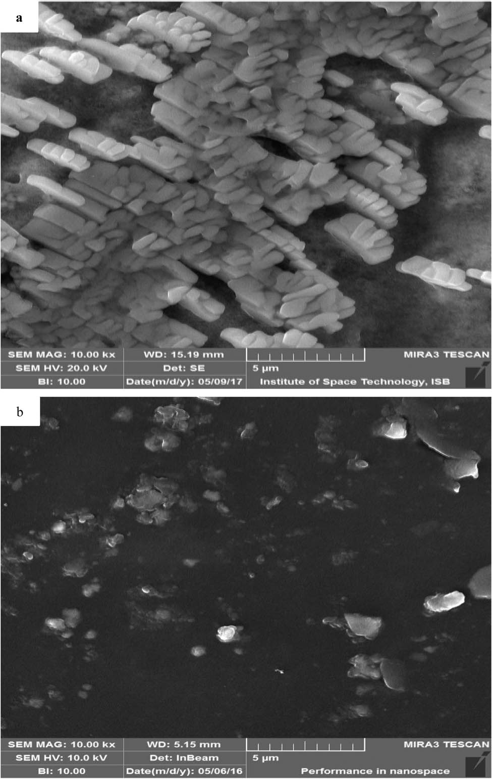 Figure 3 
                  Scanning electron microscopy (SEM) micrographs of: (a) Ag NPs, (b) Cu NPs.
               