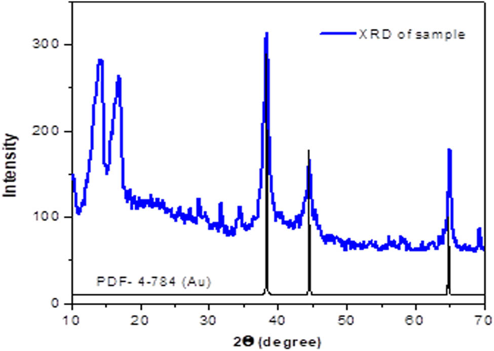Figure 6 
                  X-ray diffractogram of SE-AuNPs. The standard diffraction pattern of Au (JCPDS PDF no. 4-784) is also shown at the bottom.
               