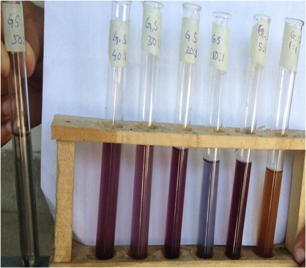 Figure 2
Different ratio of gold and saffron extract.