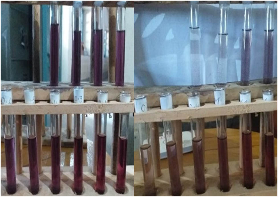 Figure 10
Effect of NaCl on saffron stigma AuNPs (SS-AuNPs) (after 24 h).