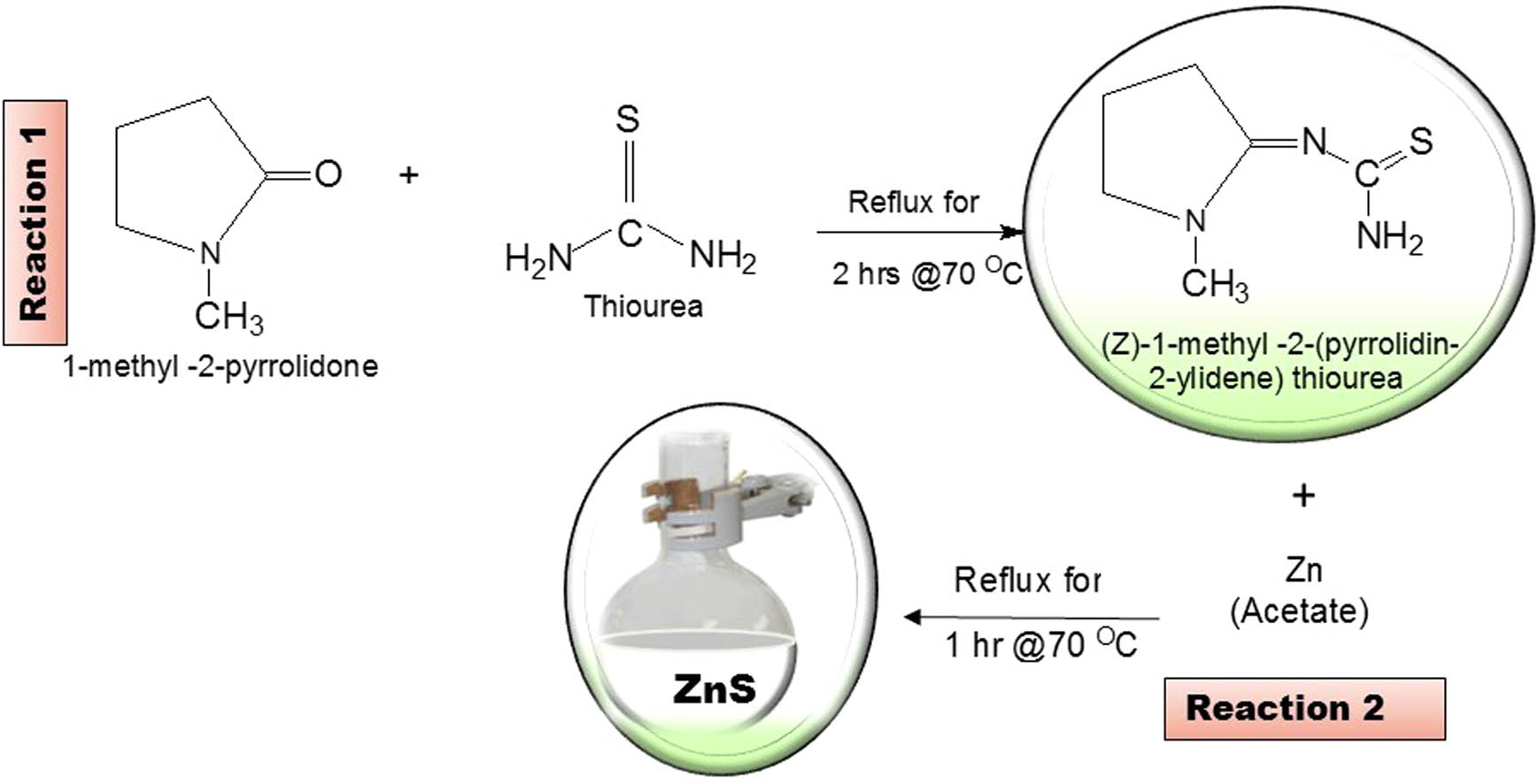 Scheme 1 
                  Preparation of the (Z)-2-(1-methyl-pyrrolidin-2-ylidene) thiourea ligand and the synthesis of ZnS nanoparticles.
               