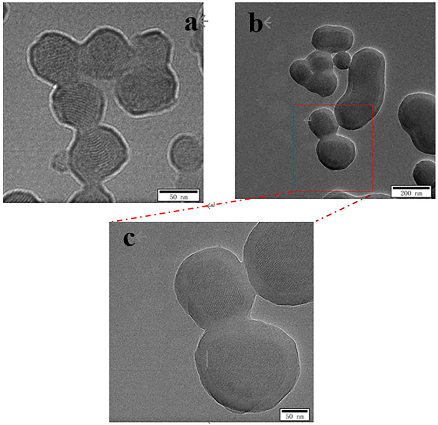 Figure 3 
                  TEM images of (a) MSNs and (b and c) MSNs@MIPs.
               