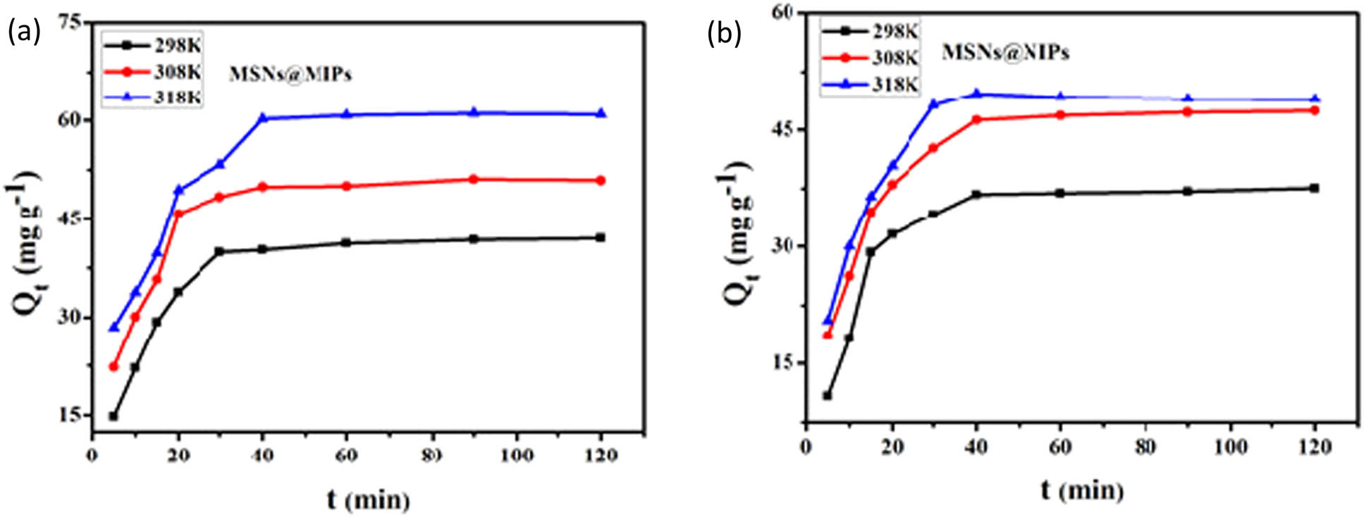 Figure 8 
                  Adsorption kinetics of (a) MSNs@MIPs and (b) MSNs@NIPs.
               
