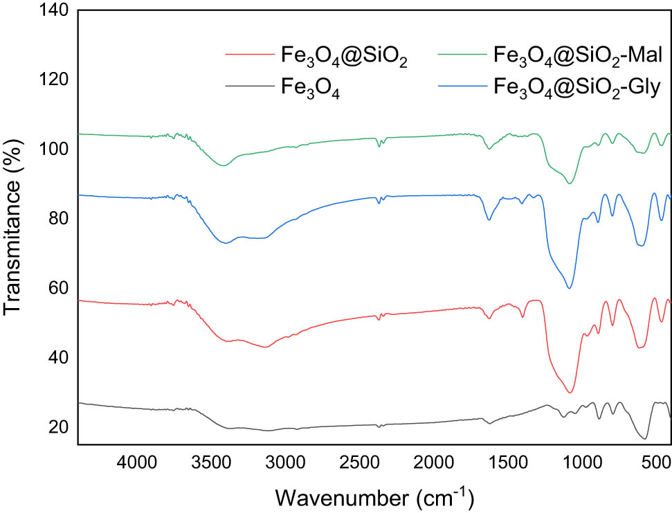 Figure 1 
                  FTIR spectra of the synthesized nanoparticles.
               