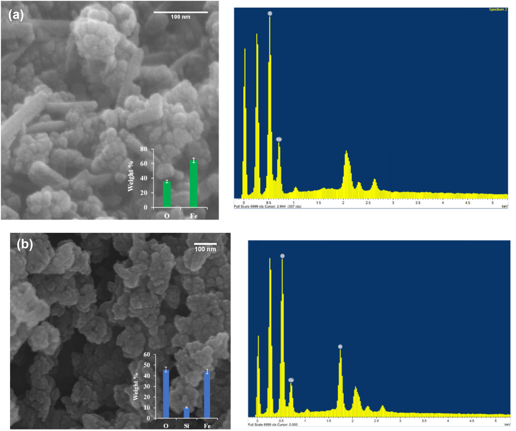 Figure 4 
                  SEM images (left) and EDS (right) analysis for (a) Fe3O4 and (b) Fe3O4@SiO2 nanoparticles.
               