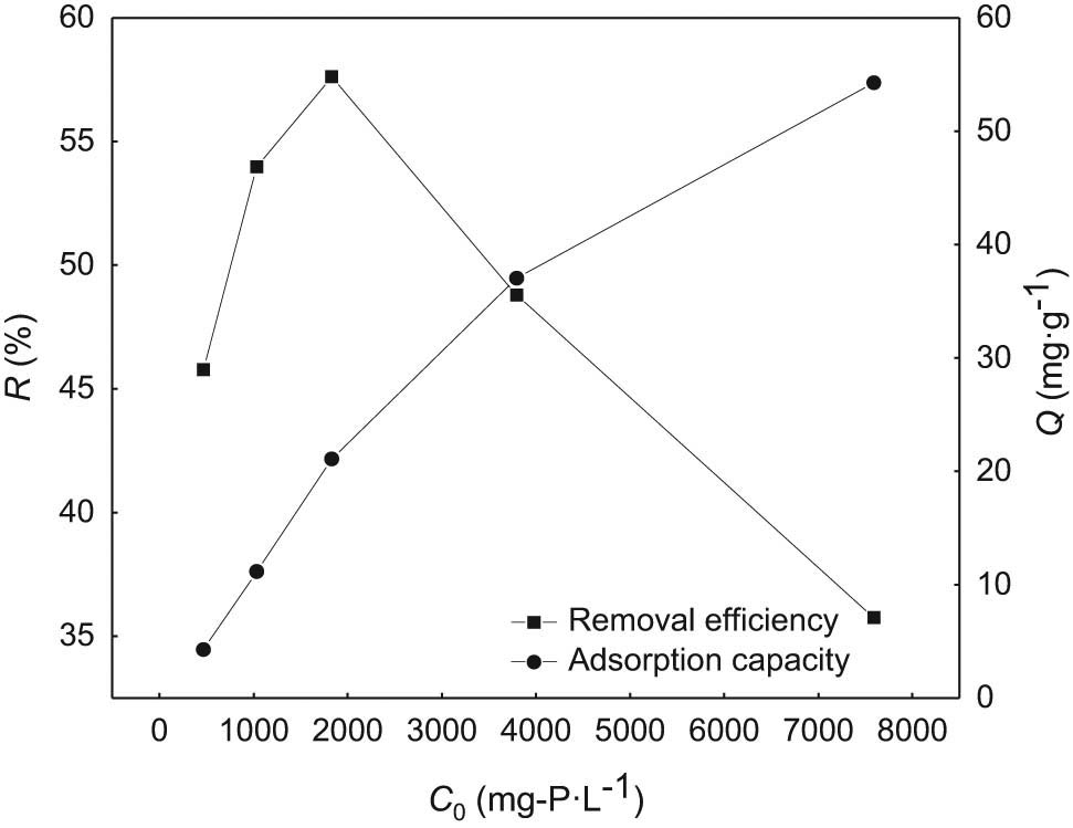 Figure 7 
                  Effect of initial concentration on phosphorus removal.
               