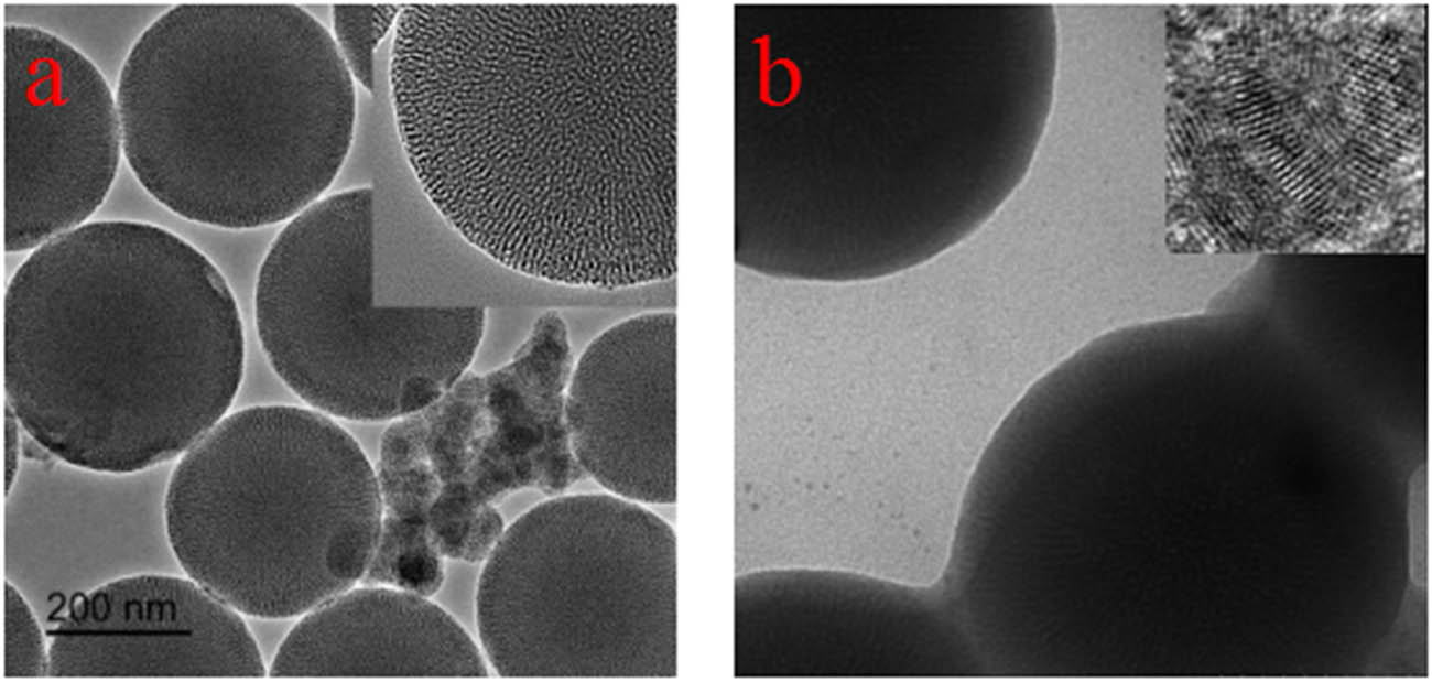 Figure 2 
                  TEM images of (a) as-prepared mesoporous SiO2 particles and (b) CQDs/mesoporous SiO2 composites.
               