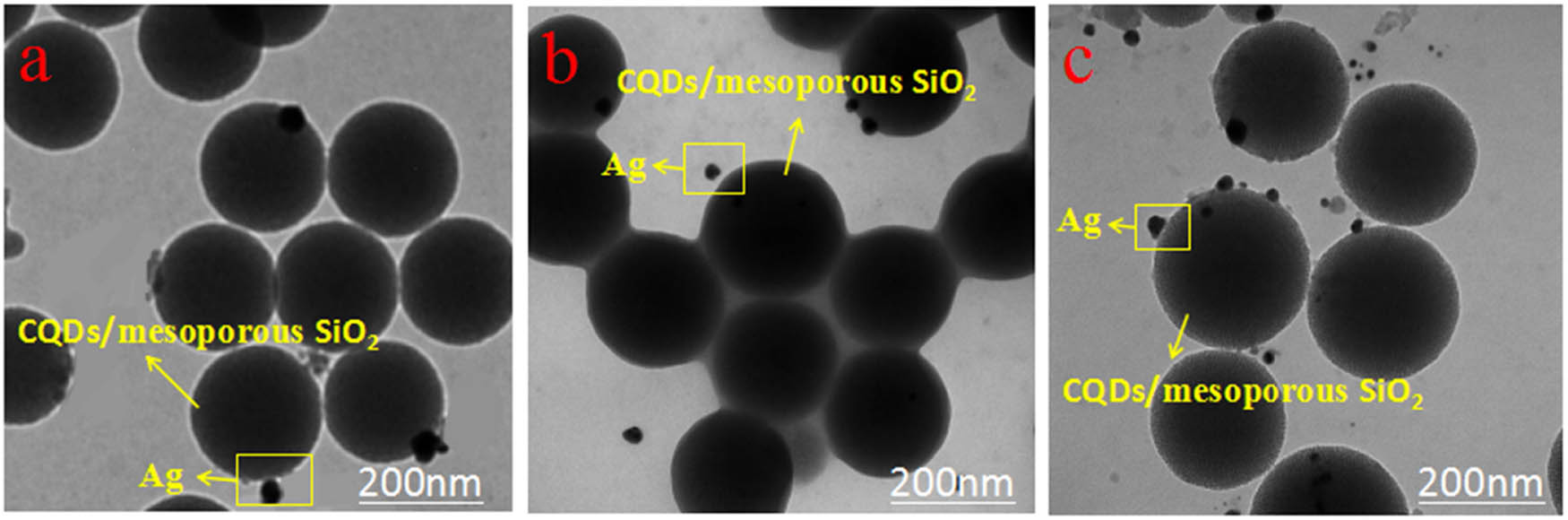 Figure 4 
                  TEM images of CQDs/mesoporous SiO2/Ag NPs composites in photochemical reactor for different UV irradiating time: (a) 1 h, (b) 2 h, and (c) 3 h.
               