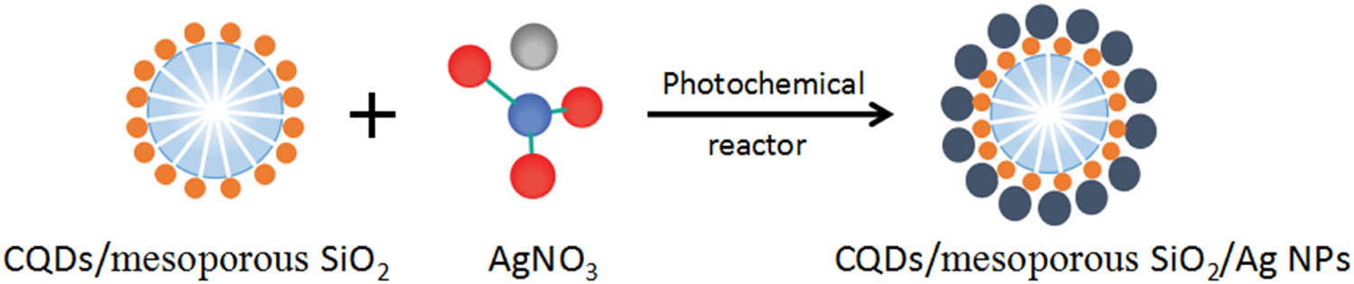 Scheme 2 
                  Schematic diagram for the synthesis of CQDs/mesoporous SiO2/Ag NPs.
               
