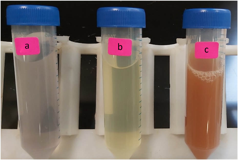 Figure 1
A. vera gel extract (a), a mixture of aqueous silver nitrate and gel extract after 10 min (b), and after 45 min (c), production of Ag-NPs using A. vera gel extract as green reducing.