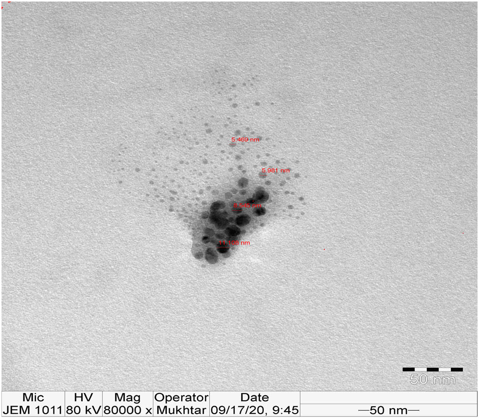 Figure 5
TEM image of phytosynthesized Ag-NPs.