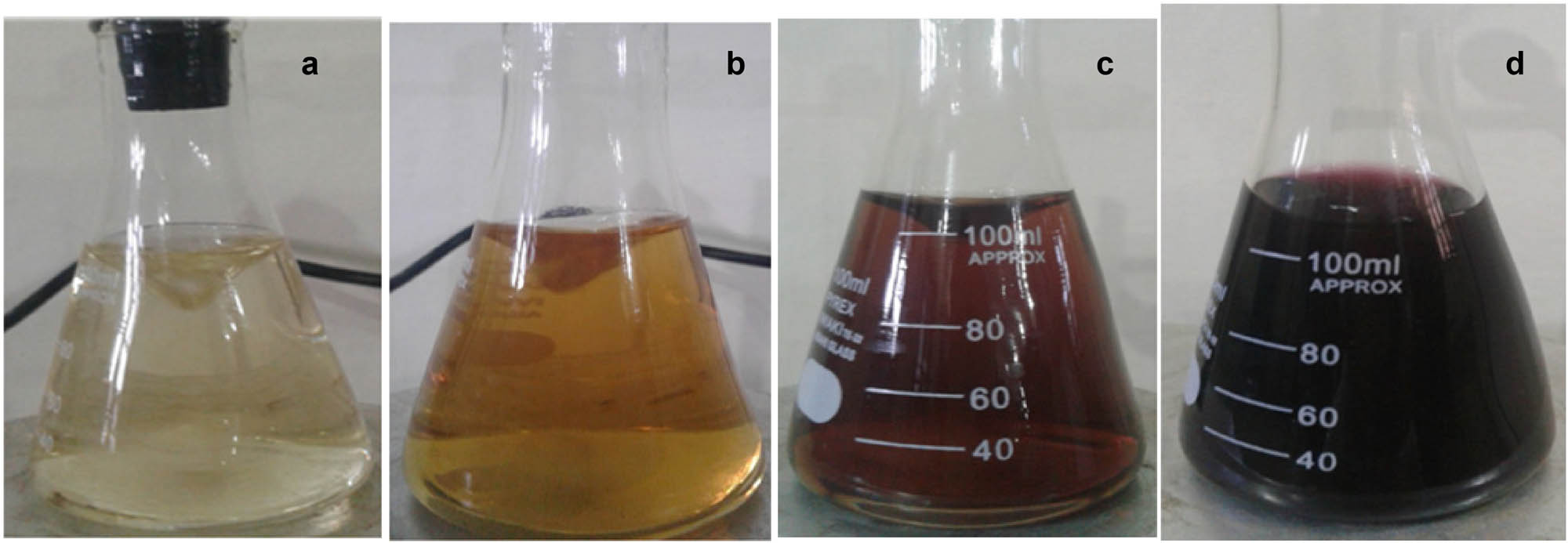 Figure 2 
                  Color change of Au-NPs of Black cumin (Bunium persicum) synthesis with time. (a) Gold solution, (b) initial mixing of gold solution and extract, (c) after 30 min, (d) after 4 h.
               