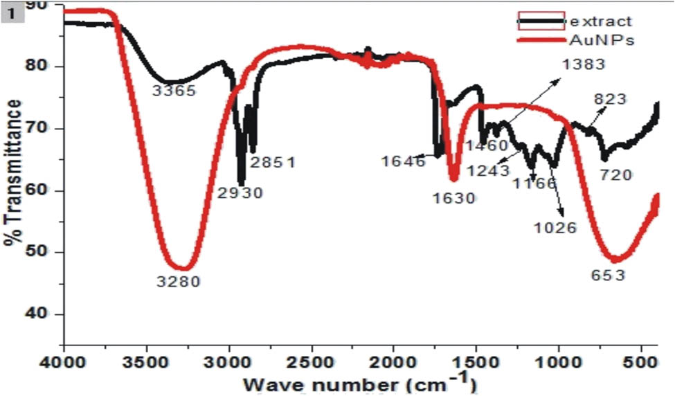 Figure 14 
                  Comparison of FTIR spectra of Bunium persicum (black cumin seed) seed alcohol extract and Au-NPs.
               