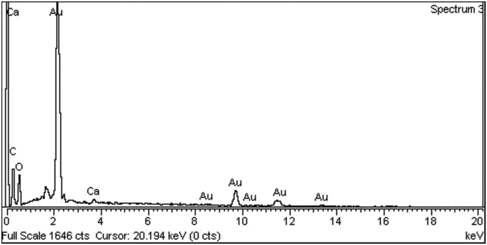 Figure 16 
                  EDX spectra of Au-NPs of Bunium persicum.
               