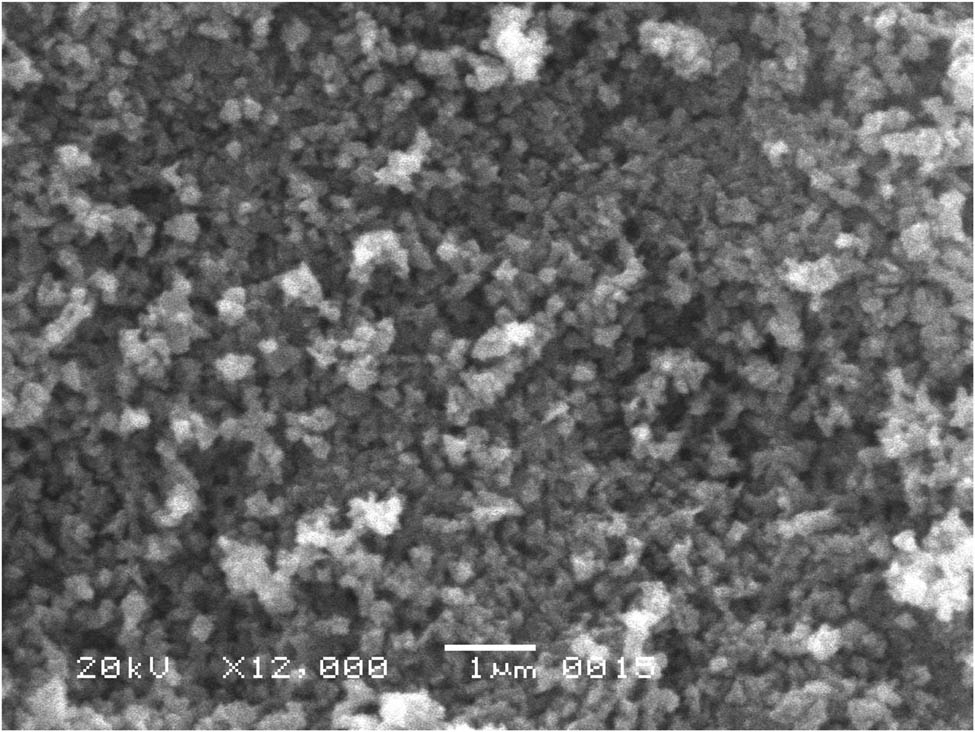 Figure 1
SEM image of zinc oxide nanoparticles.