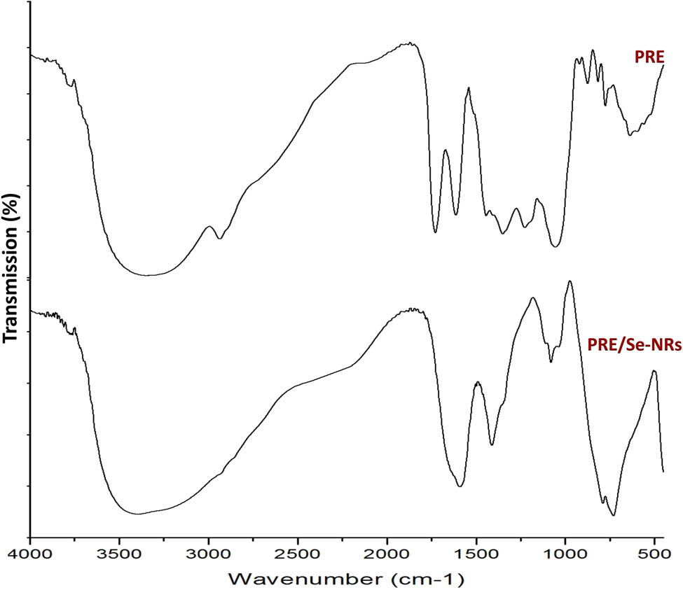 Figure 2
FTIR patterns for the extract of pomegranate rinds (PRE) and phytosynthesized Se-Nanorods with the extract (PRE/Se-NRs).