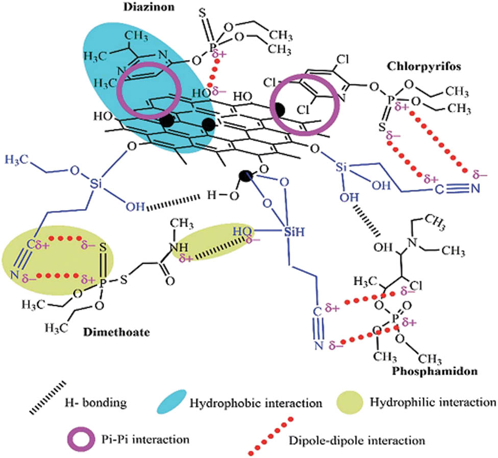 Figure 2 
                  Adsorption mechanism of OPPs on Fe3O4@G-CNPrTEOS [44].
               