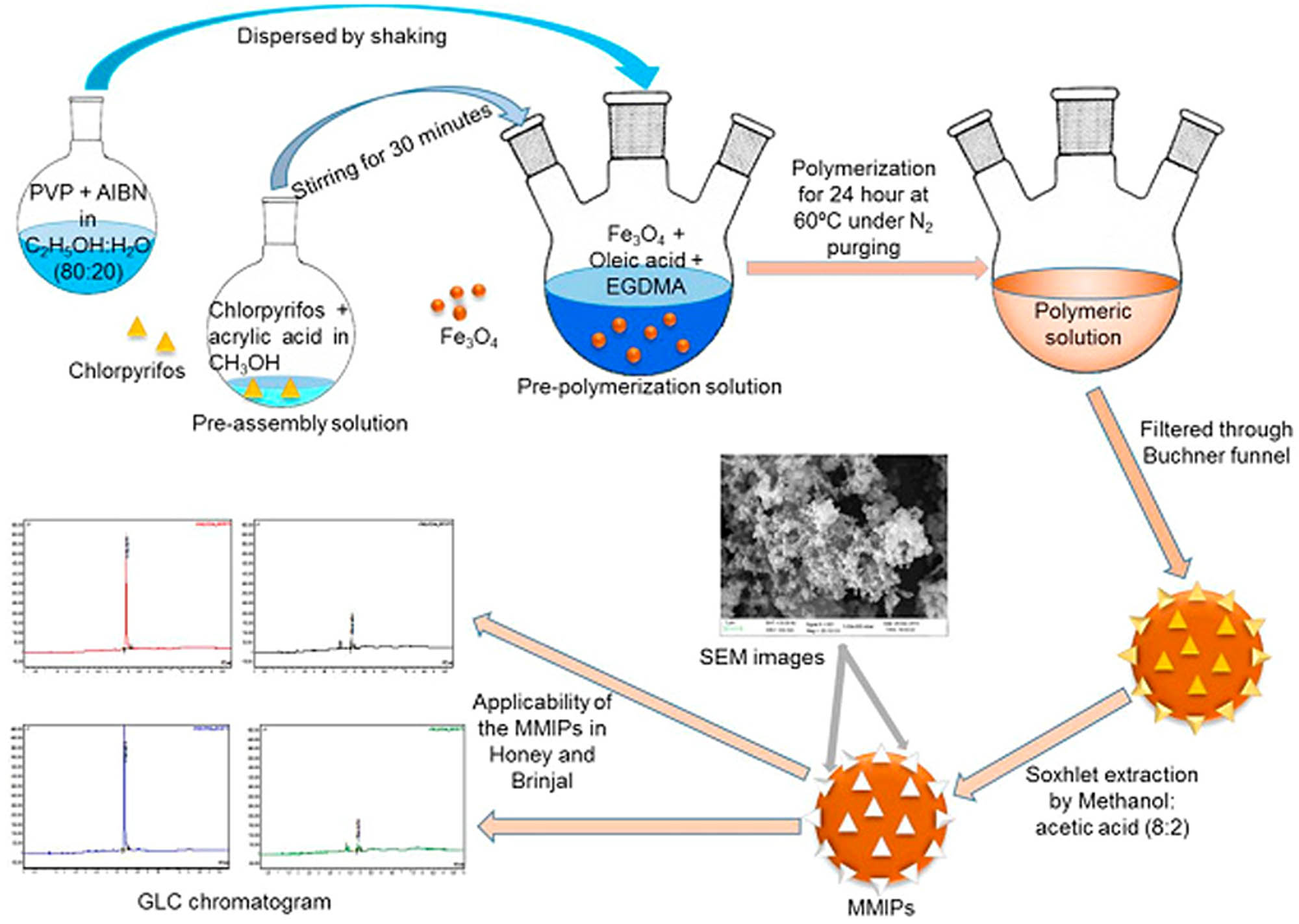 Figure 6 
                  Schematic illustration of the preparation of MMIPs and selective extraction of chlorpyrifos [66].
               