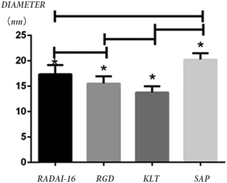 Figure 6 
               The diameters of RADA16-I, RGD, KLT, and functionalized self-assembled polypeptide (SAP) fibers were 17.34 ± 1.82, 15.50 ± 1.41, 13.77 ± 1.18, and 20.26 ± 1.25 nm, respectively, under AFM. *P < 0.05, with statistical significance.
            