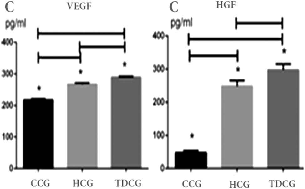 Figure 7 
               Laboratory tests by ELISA method for the concentration of HGF were found to be 47.31 ± 6.75, 247.86 ± 17.59, and 297.25 ± 17.95 pg/mL after one day under different culture conditions (the common culture, the hypoxic culture group, and the three-dimensional culture). Under the same conditions stated above, the concentrations of VEGF were 218.30 ± 3.03, 267.13 ± 4.27, and 289.14 ± 3.11 pg/mL. The concentrations of HGF and VEGF were highest in TDCG, closely followed by HCG. *P < 0.05. CCG: common culture group; HCG: hypoxic culture group; TDCG: three-dimensional culture group.
            