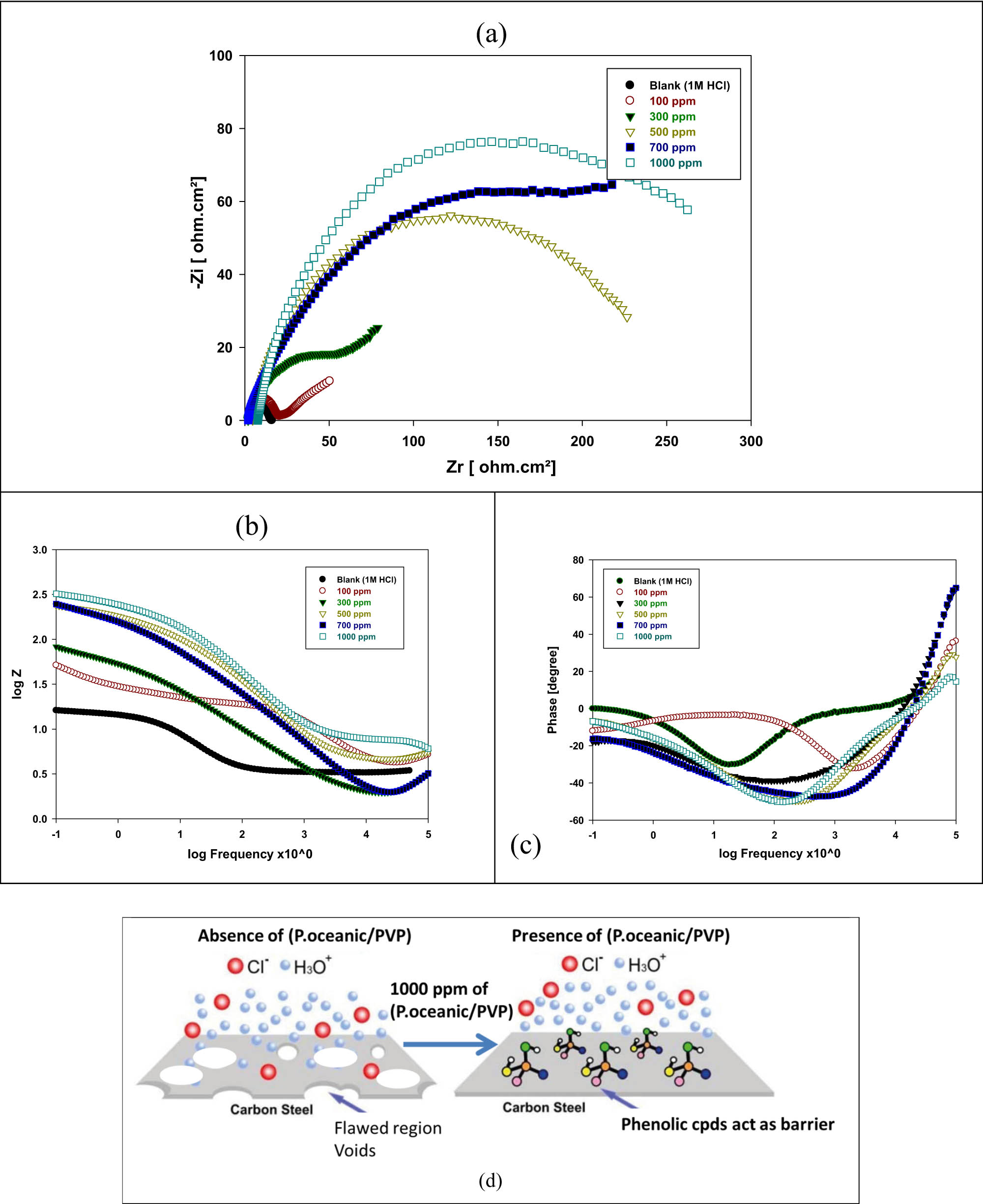 Figure 5 
                  EIS plots as (a) Nyquist plot, (b) Bode plot, (c) phase angle plot for mild steel in 1 M of HCl with and without the various concentrations of P. oceanica/PVP and (d) proposed mechanism of P. oceanica/PVP as corrosion inhibitor.
               