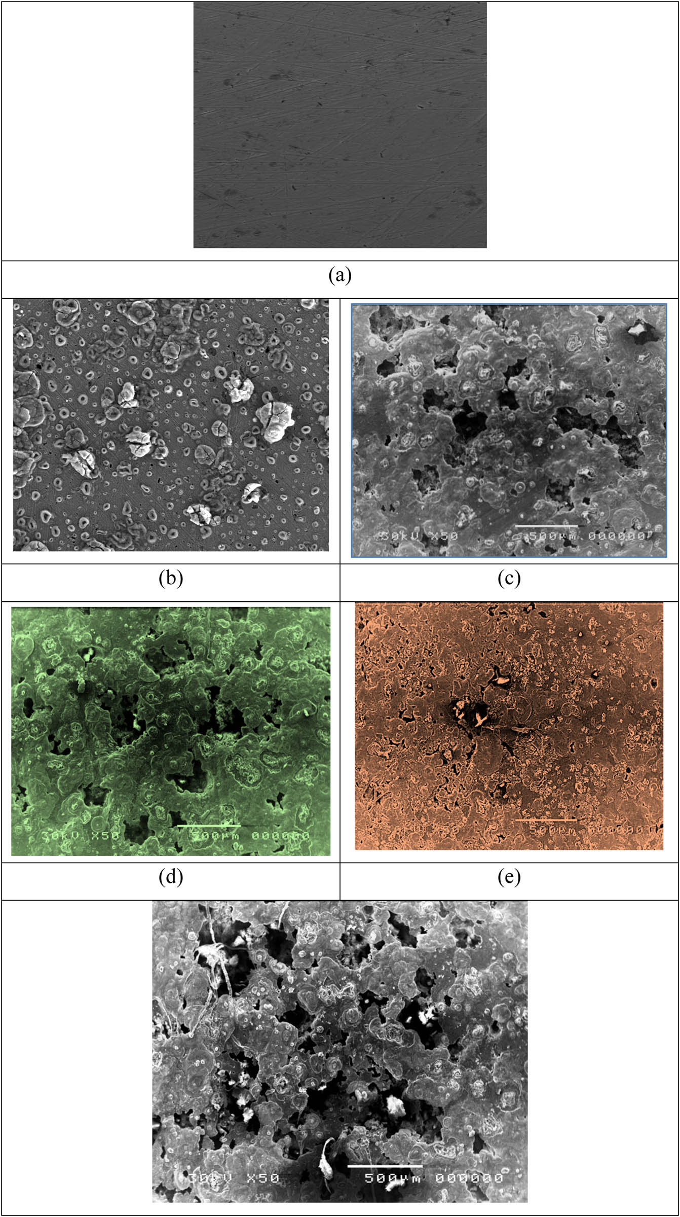 Figure 9 
                  SEM micrographs of blank polished steel samples (a), after an immersion in corrosive media of 1 M of HCl in the absence of P. oceanica/PVP (b), after a soak in corrosive media of 1 M of HCl in the existence of 100 ppm of P. oceanica/PVP (c), after a soak in corrosive media of 1 M of HCl in the existence of 300 ppm of P. oceanica/PVP (d), after a soak in corrosive media of 1 M of HCl in the existence of 1,000 ppm of P. oceanica/PVP (e), and after a soak in corrosive media of 1 M of HCl in the existence of 1,000 ppm of PVP (f).
               