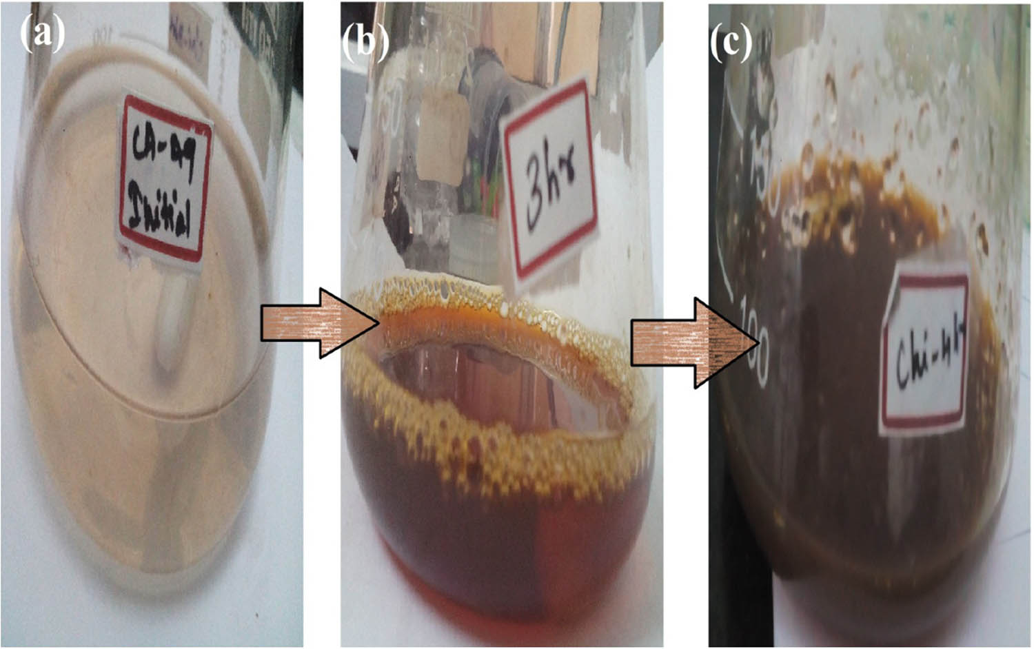 Figure 1 
                  Visual observation: (a) silver nitrate with plant extract, (b) silver nanoparticles, and (c) AgNPs-based chitosan nanocomposites.
               