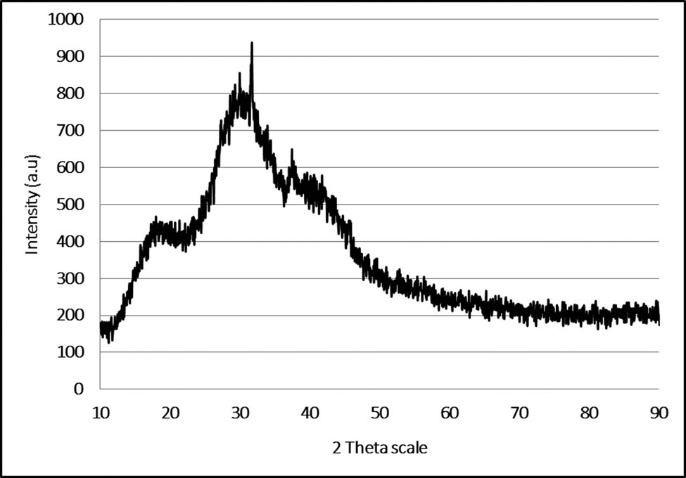Figure 4 
                  XRD pattern of AgNPs-based chitosan nanocomposite.
               