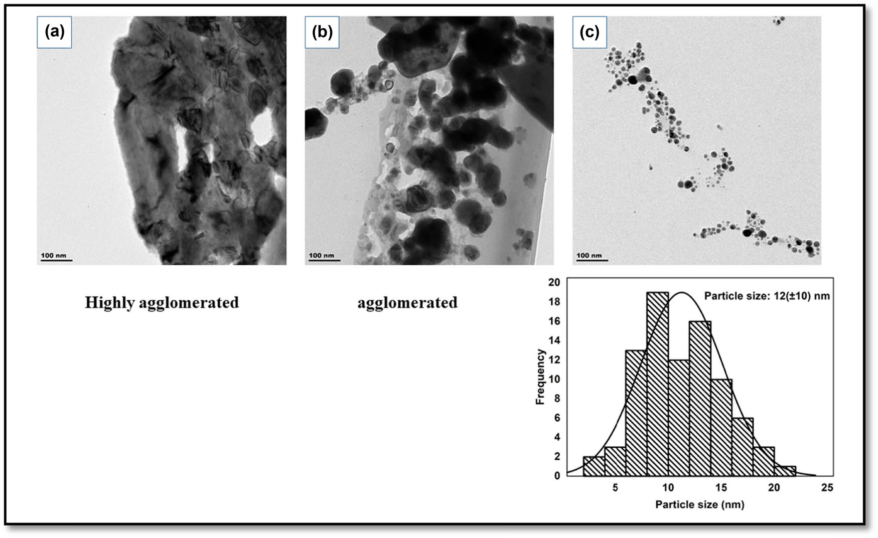 Figure 4
TEM images of silver nanoparticles (a–c) synthesized using different concentrations of Citrus sinensis 1%, 2%, and 3%, respectively, and particle size distribution of silver nanoparticles synthesized using 3% Citrus sinensis.