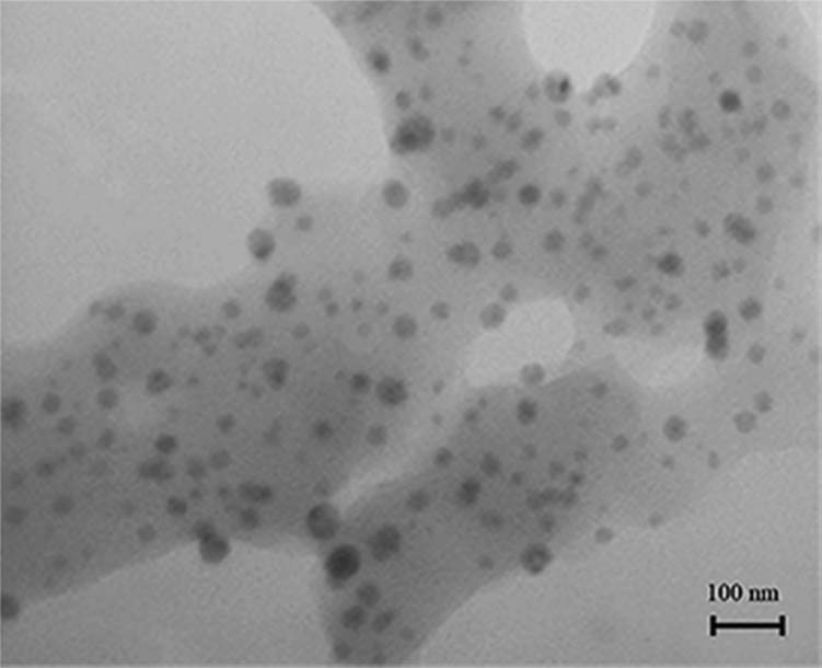 Figure 4
The TEM image of the synthesized AgNPs at obtained optimum synthesis conditions using the C. avellana leaf extract.