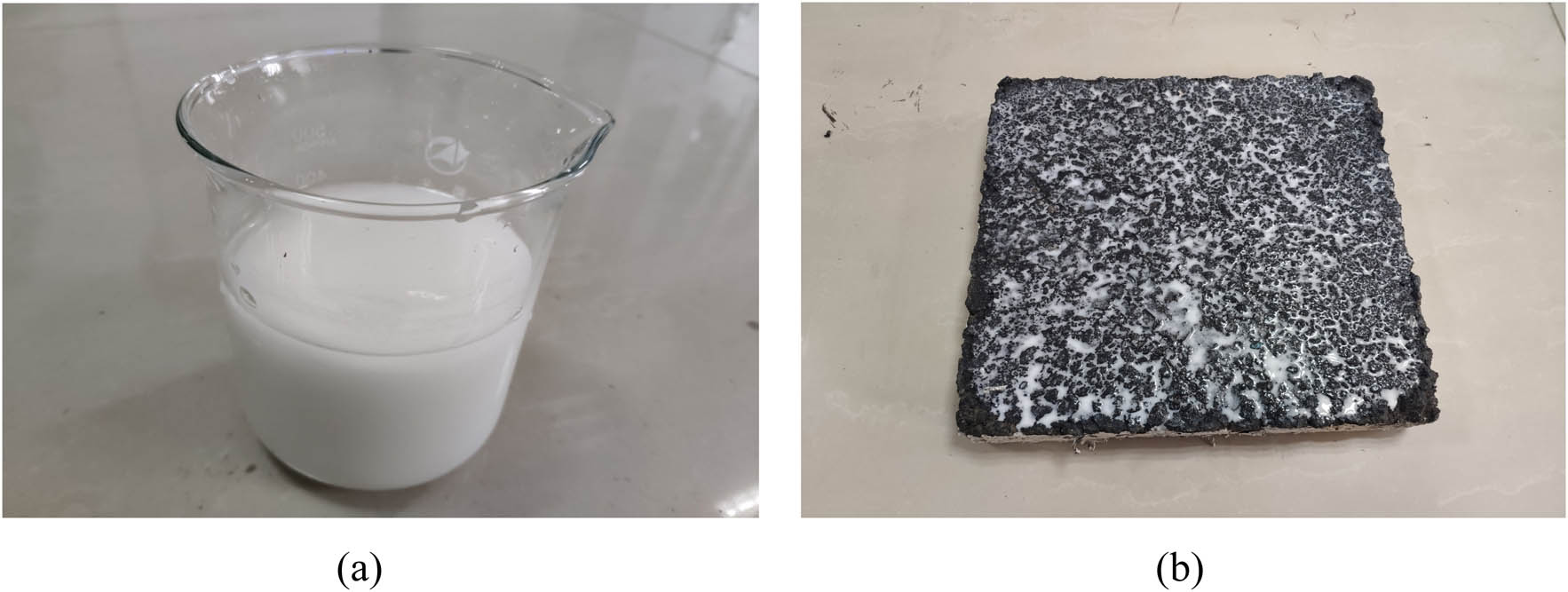 Figure 4 
                  (a) The coating solution of nano-TiO2 and (b) specimen covered with photocatalytic material.
               