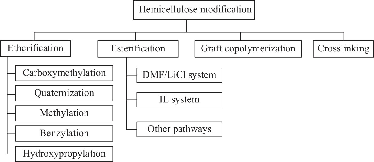 Figure 2 
               The modification of hemicellulose via various methods.
            
