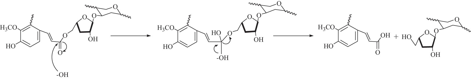 Scheme 2 
                     The mechanism of alkaline extraction of hemicellulose.
                  