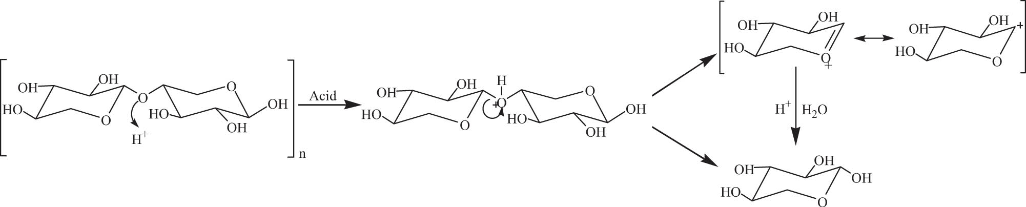 Scheme 3 
                     Acid extraction of hemicellulose.
                  