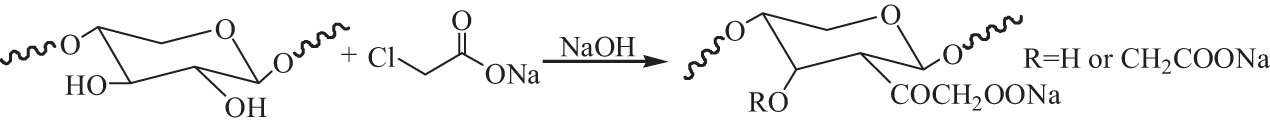 Scheme 4 
                     The carboxymethylation of hemicellulose.
                  