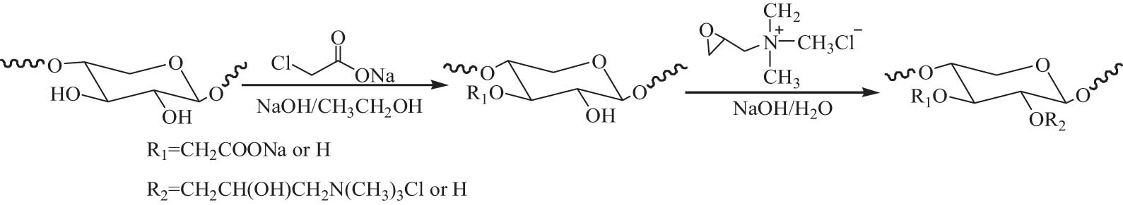Scheme 6 
                     Reaction scheme of the quaternized carboxymethyl xylan-type hemicelluloses.
                  