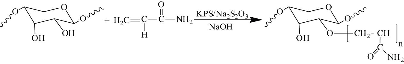 Scheme 10 
                  The preparation of hemicellulose–g-polyacrylamide.
               