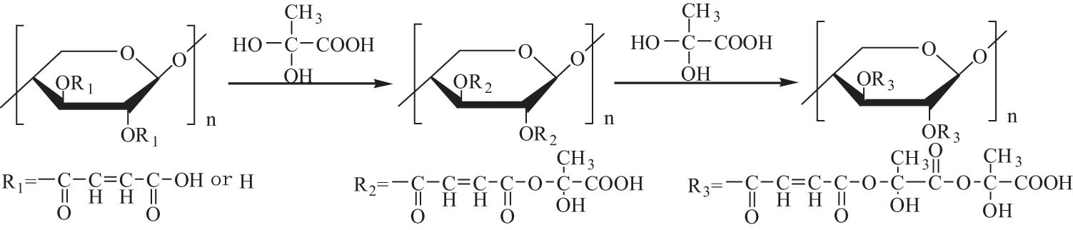 Scheme 13 
                  Synthesis of the modified hyperbranched hemicellulose polymer.
               