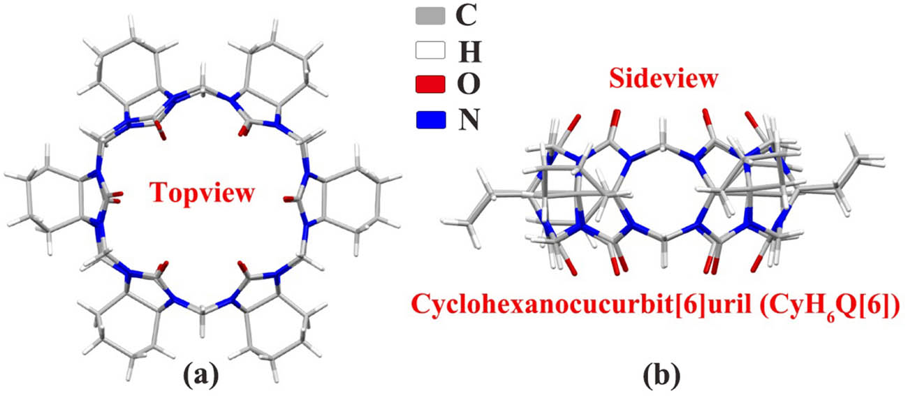 Figure 1 
               Crystal structure of CyH6Q[6]: (a) top view and (b) side view.
            