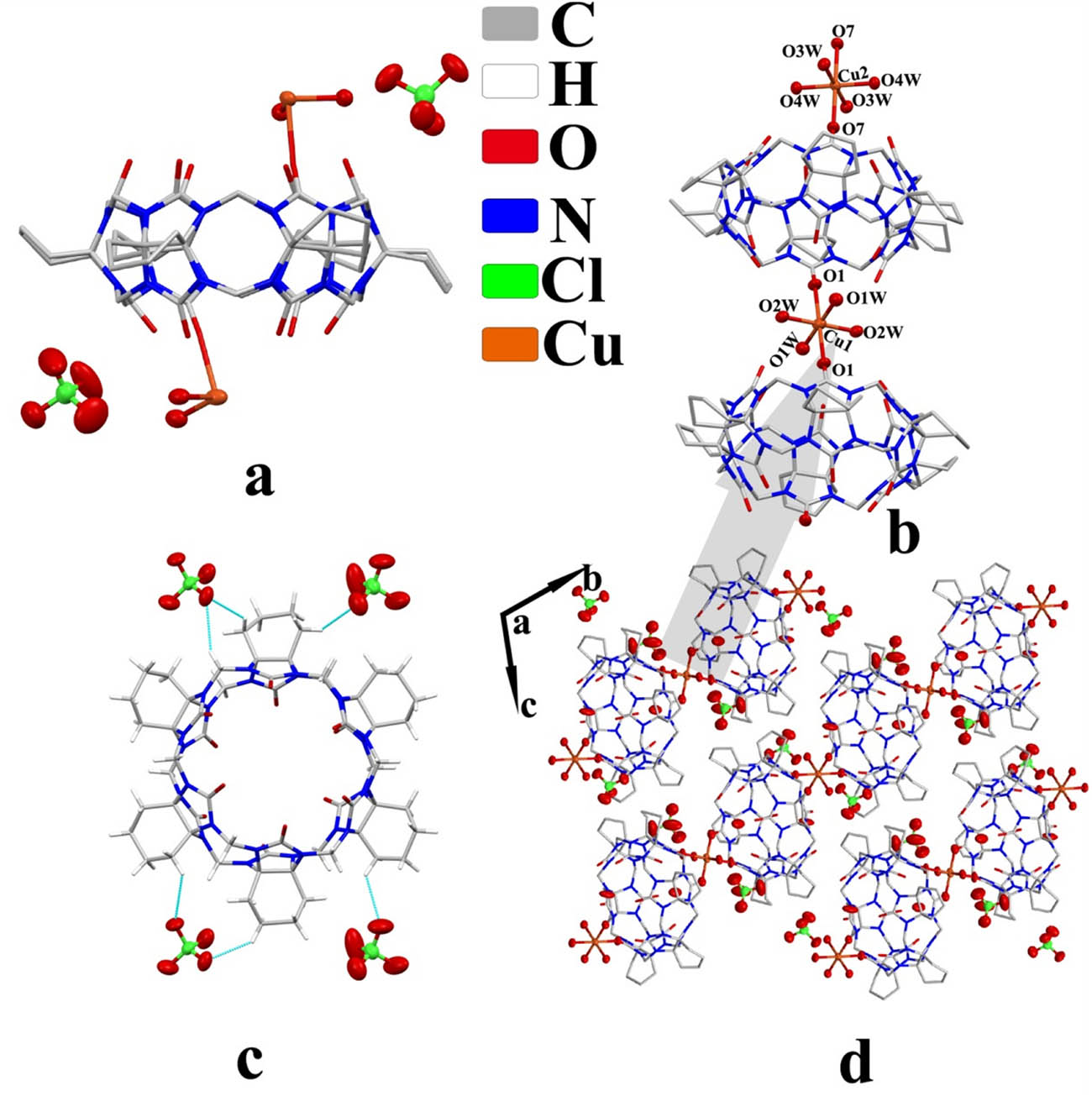 Figure 2 
                  Crystal structure of complex 1: (a) asymmetric unit, (b) coordinate bond, (c) ion–dipole interaction, and (d) two-dimensional structure viewed along the a-axis.
               