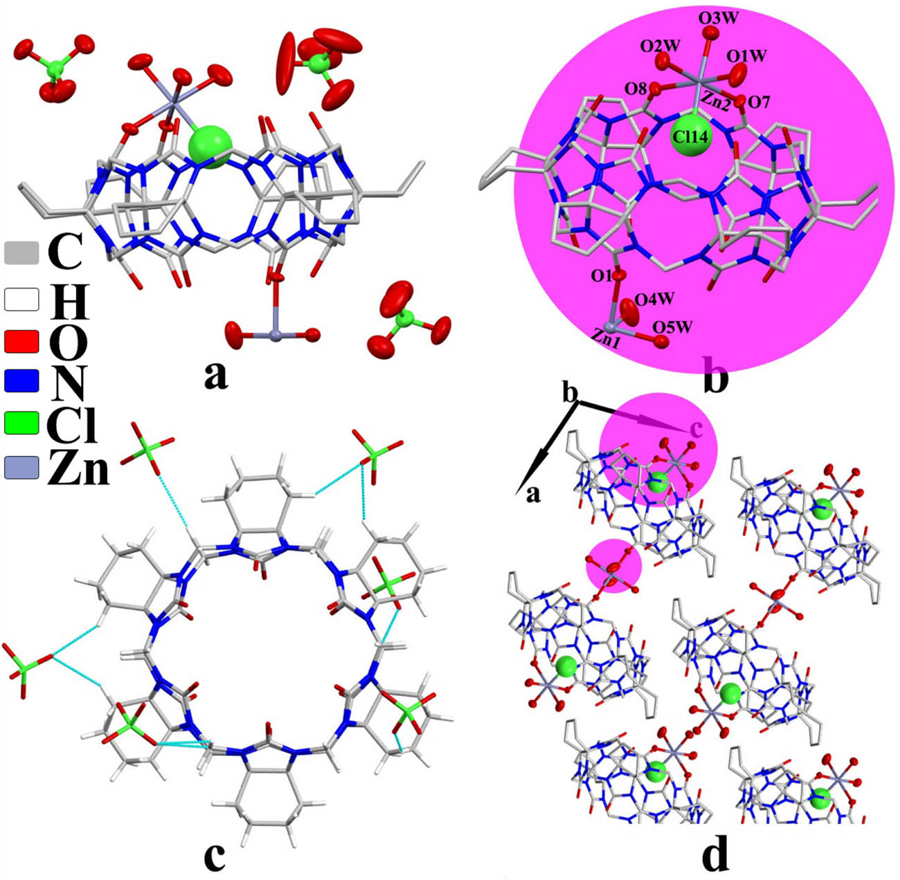 Figure 3 
                  Crystal structure of complex 2: (a) asymmetric unit, (b) coordinate bond, (c) ion–dipole interaction, and (d) two-dimensional structure viewed along the b-axis.
               