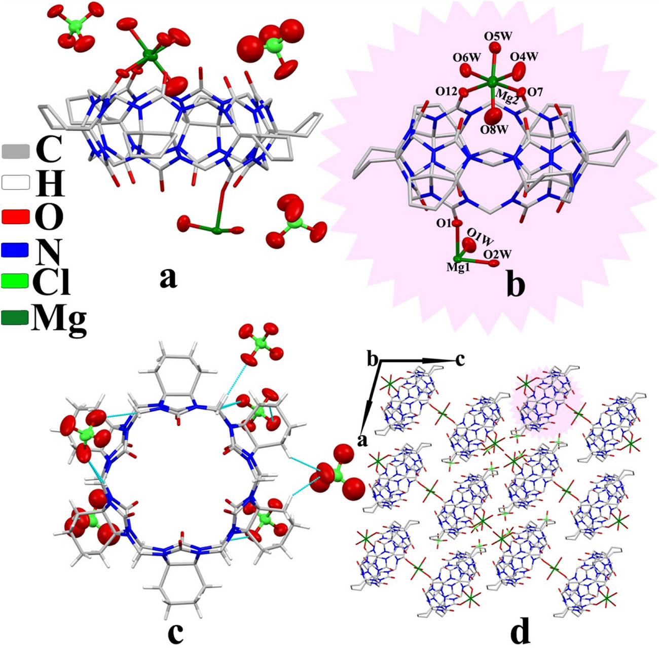Figure 4 
                  Crystal structure of complex 3: (a) asymmetric unit, (b) coordinate bond, (c) ion–dipole interaction, and (d) two-dimensional structure viewed along the b-axis.
               