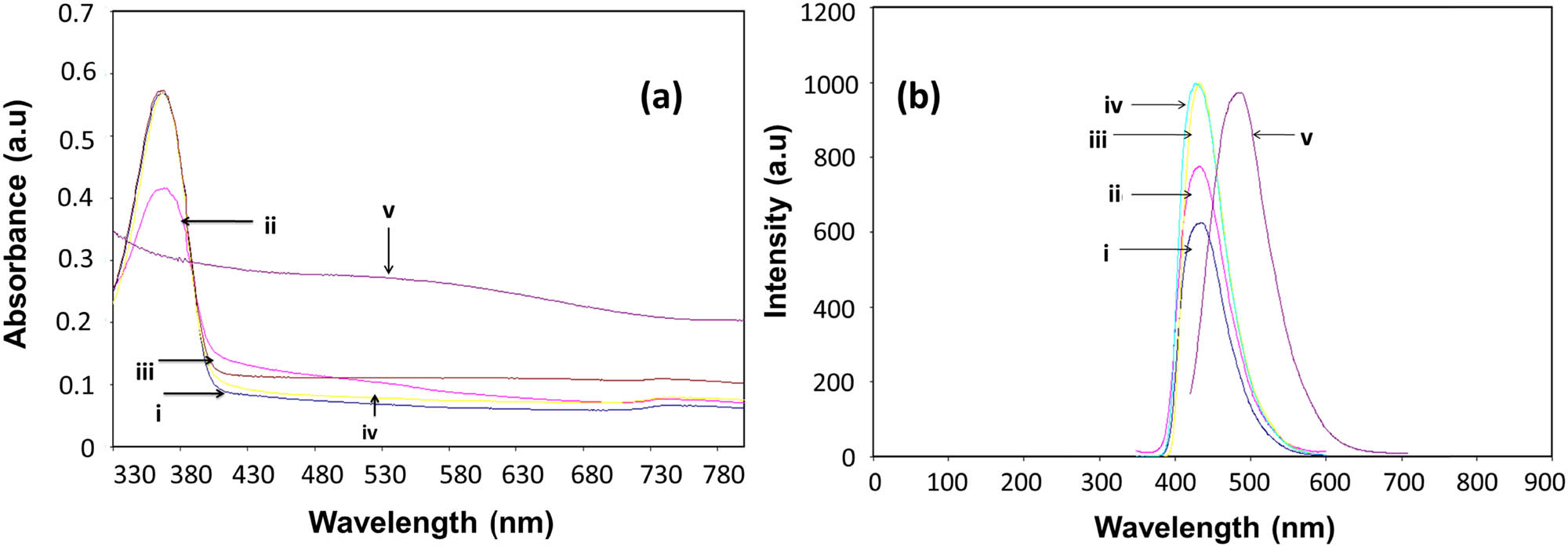 Figure 3 
                  (a) Absorption spectra and (b) PL spectra of Cu-doped CdSe NPs at different % of Cu ions (i: 0.0032%, ii: 0.016%, iii: 0.032%, iv: 0.5%, and v: 1%).
               
